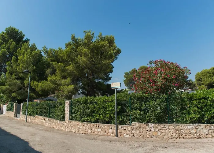 Velero